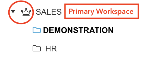 Brillium Primary Workspace indicated by a crown